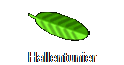 Hallentunier